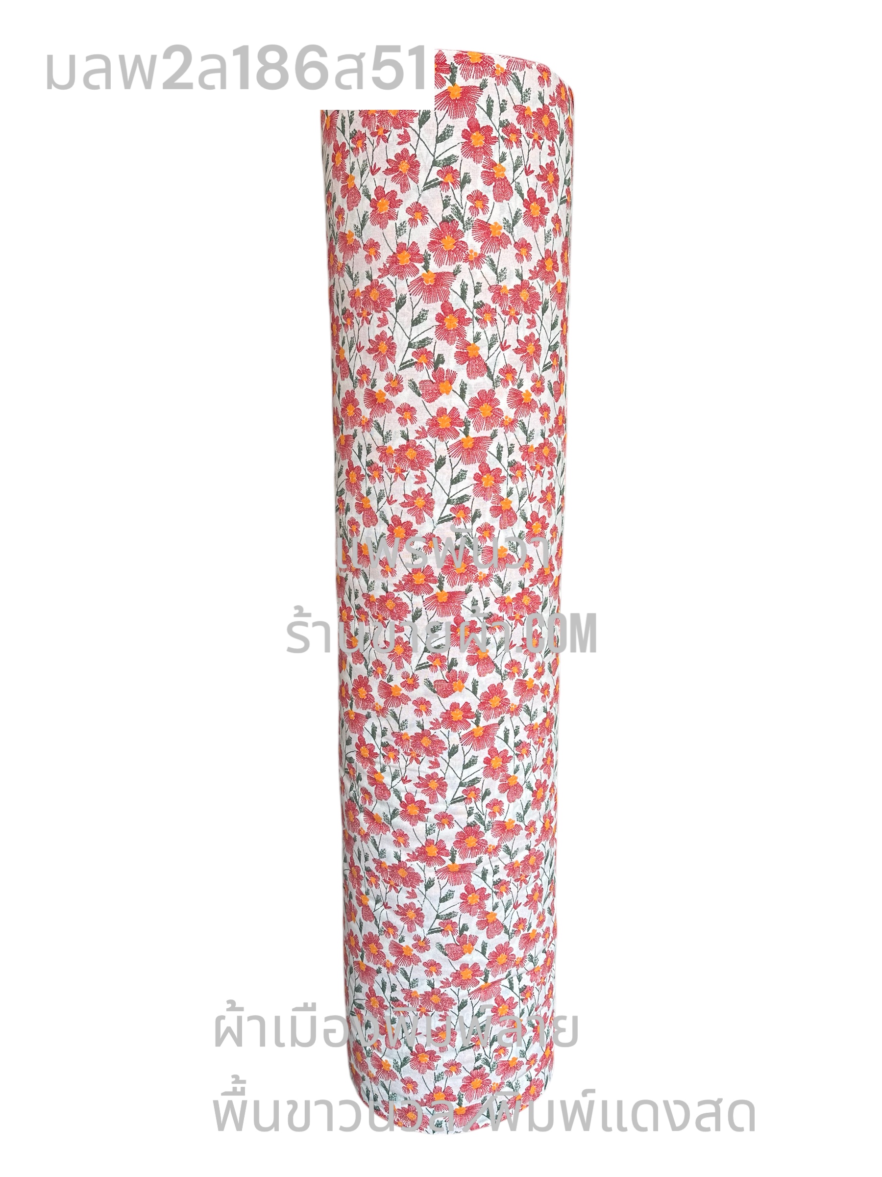 ลายดอกเดซี่ ก้านเขียว