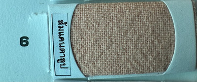 สีลายแคนตาลูป