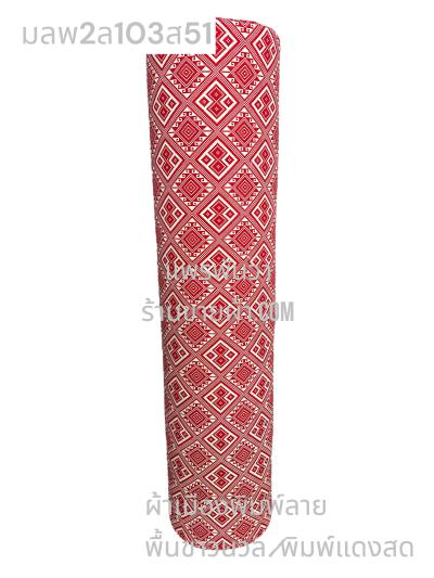 S พื้น ลายพิธา 