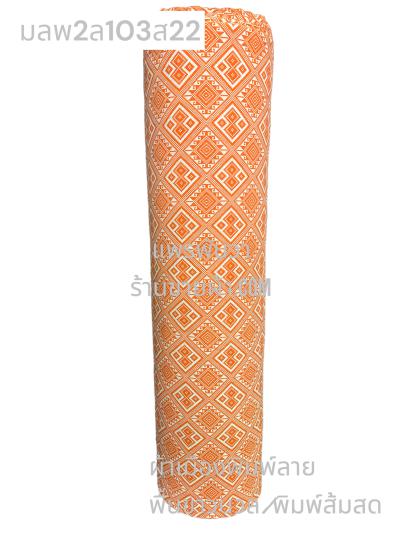 S พื้น ลายพิธา 