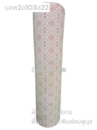 S พื้น ลายพิธา 