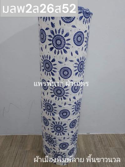 S พื้น ลายกรงจักร 