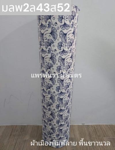 S พื้น ลายใบบอน 