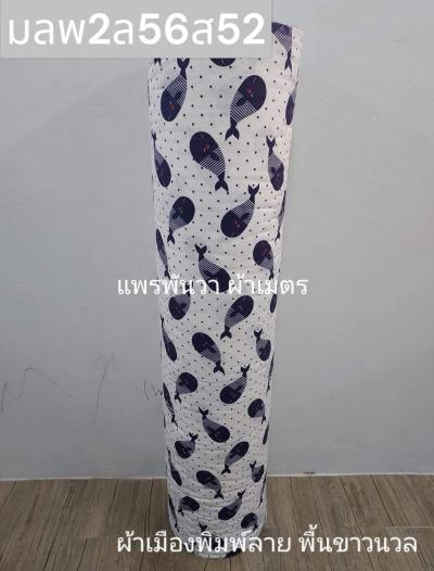 S พื้น ลายปลาวาฬ 