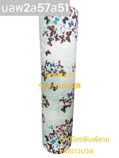 S พื้น ลายผีเสื้อหลากสีใหญ่ 