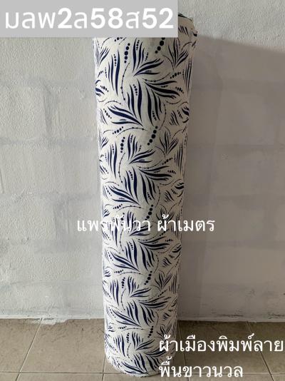 S พื้น ลายสาหร่าย 