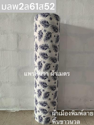 S พื้น ลายใบเฟิร์น 