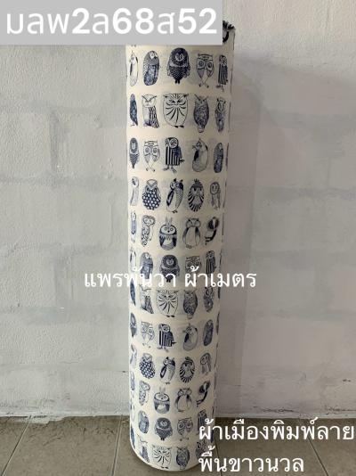 S พื้น ลายนกฮูกอเมริกัน 