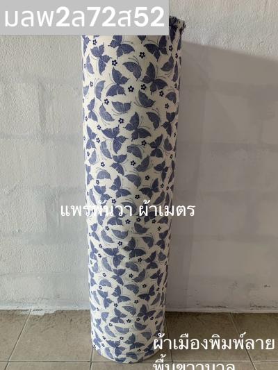 S พื้น ลายผีเสื้อกางปีก 