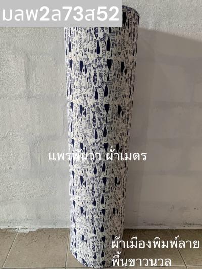 S พื้น ลายปลาซิว 