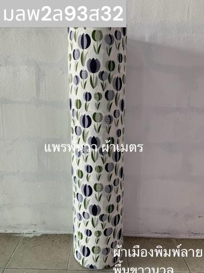 S พื้น ลายดอกทิวลิป 