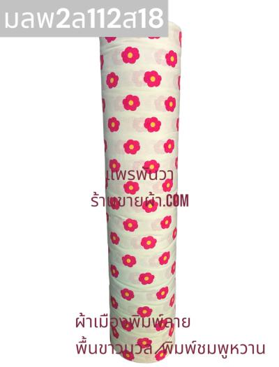 S พื้น ลายดอกเดซี่ 