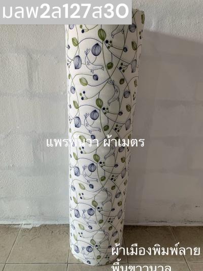 S พื้น ลายนกนางแอ่น 