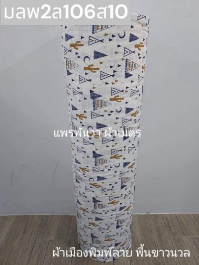 S พื้น ลายแค้มปิ้ง 