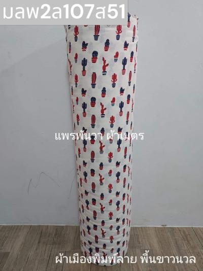 S พื้น ลายกระบองเพชร 