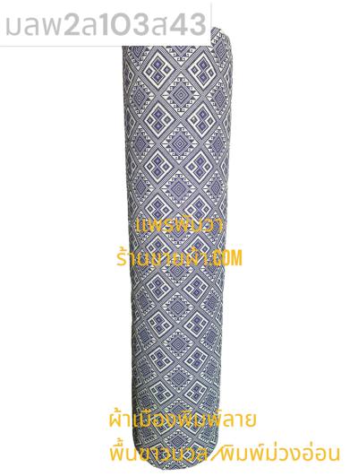 S พื้น ลายพิธา 