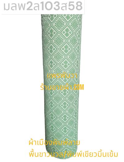 S พื้น ลายพิธา 