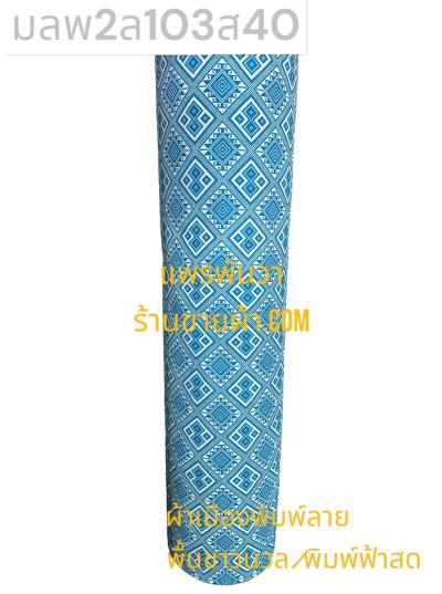 S พื้น ลายพิธา 