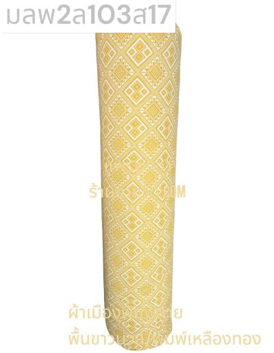 S พื้น ลายพิธา 