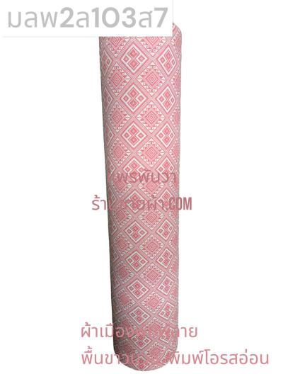 S พื้น ลายพิธา 