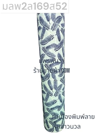 S พื้น ลายขนนก 