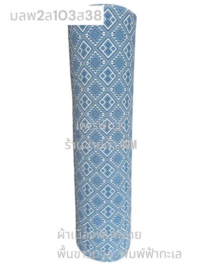 S พื้น ลายพิธา 