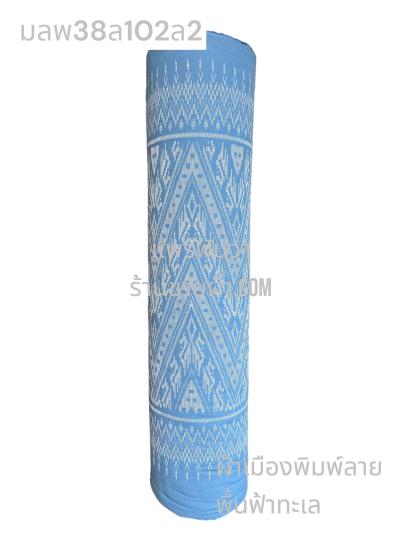 S พื้น ลายลิซ่า 